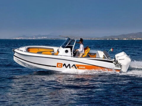 bmax266